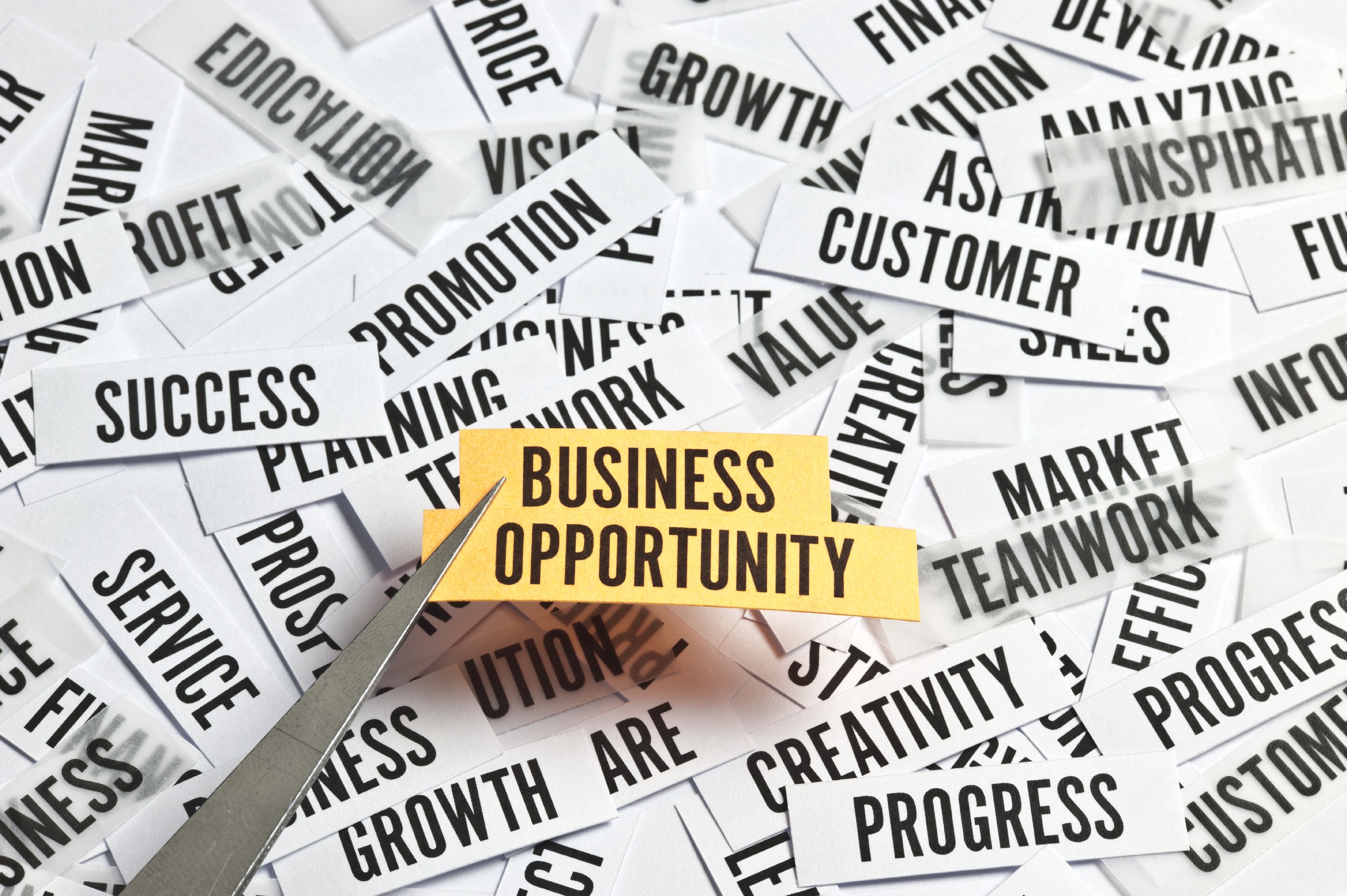 UK's largest multi-channel retailer looking for new products