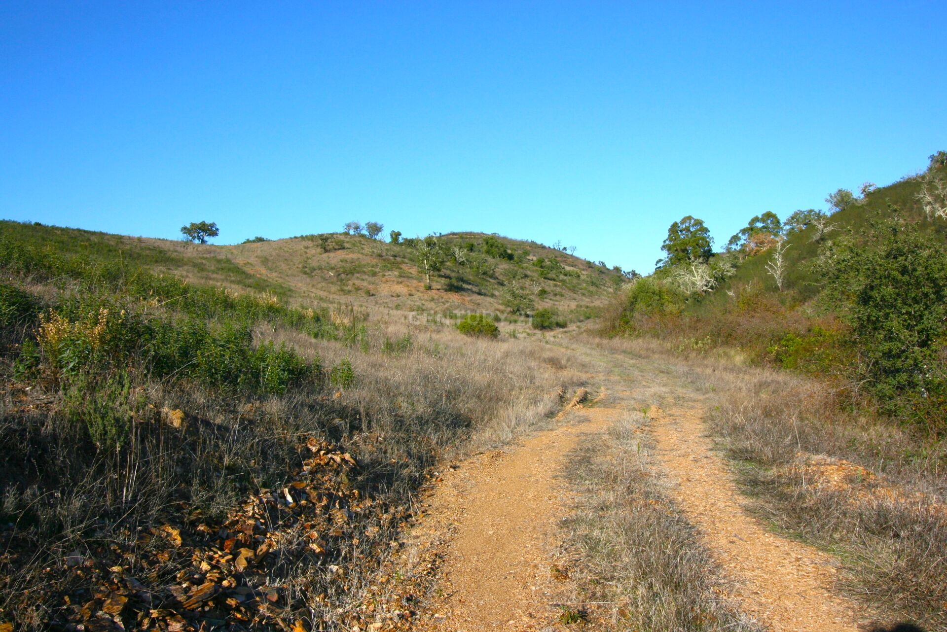 Land of 17HA with approved project for rural tourism with 96 beds